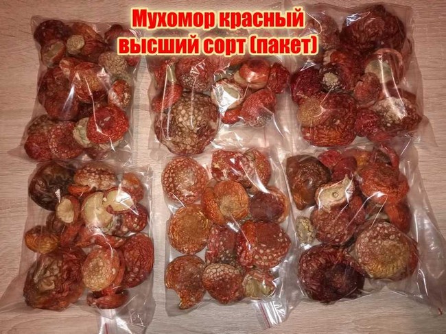 Сухие шляпки мухомора красного в Санкт-Петербурге